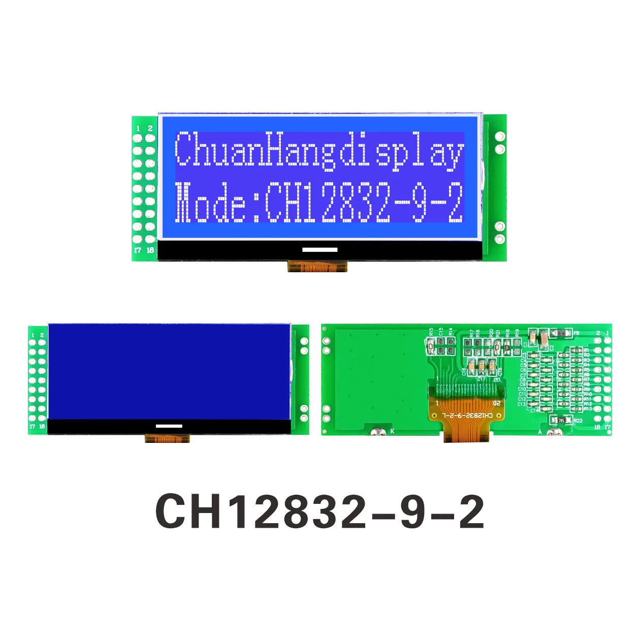 Module d'affichage LCD graphique CH12832-9-2 (COG+PCB)